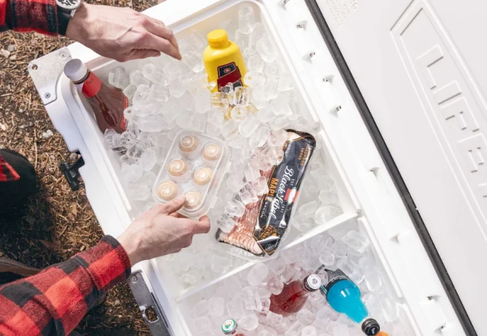 best outdoor cooler