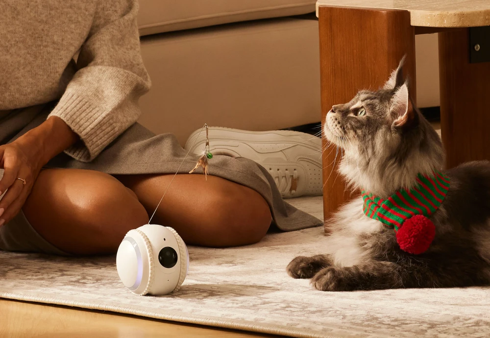 best interactive pet camera