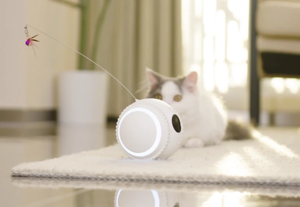 movable pet camera