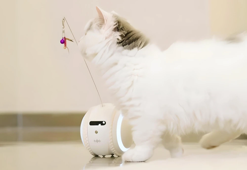 wireless pet camera system