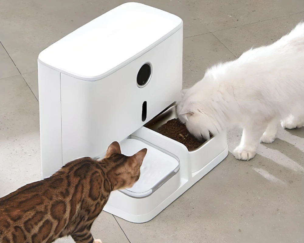 automatic pet feeder multiple cats