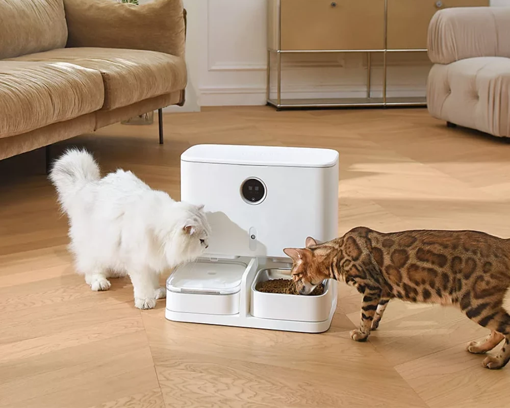 automatic pet feeder multiple cats